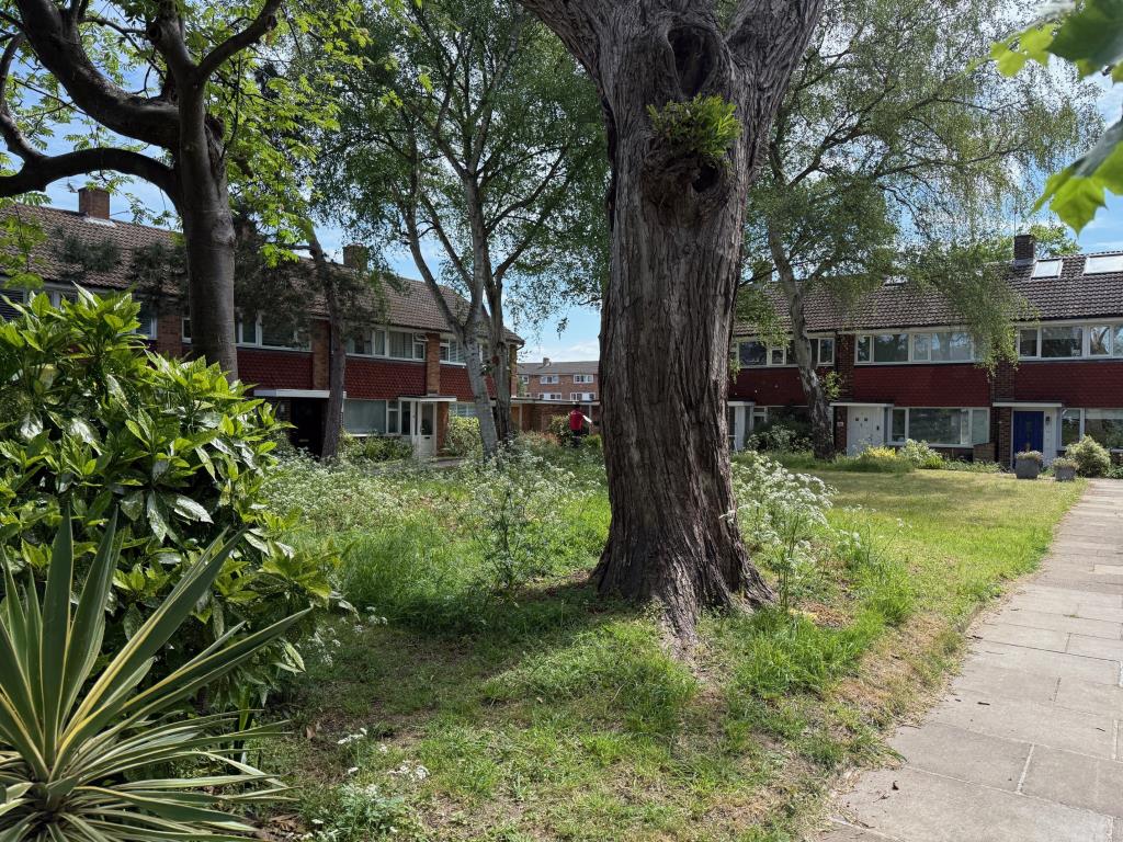 Lot: 62 - FREEHOLD PARCEL OF LAND - Rectangular parcel of land and trees on Kingfisher Drive